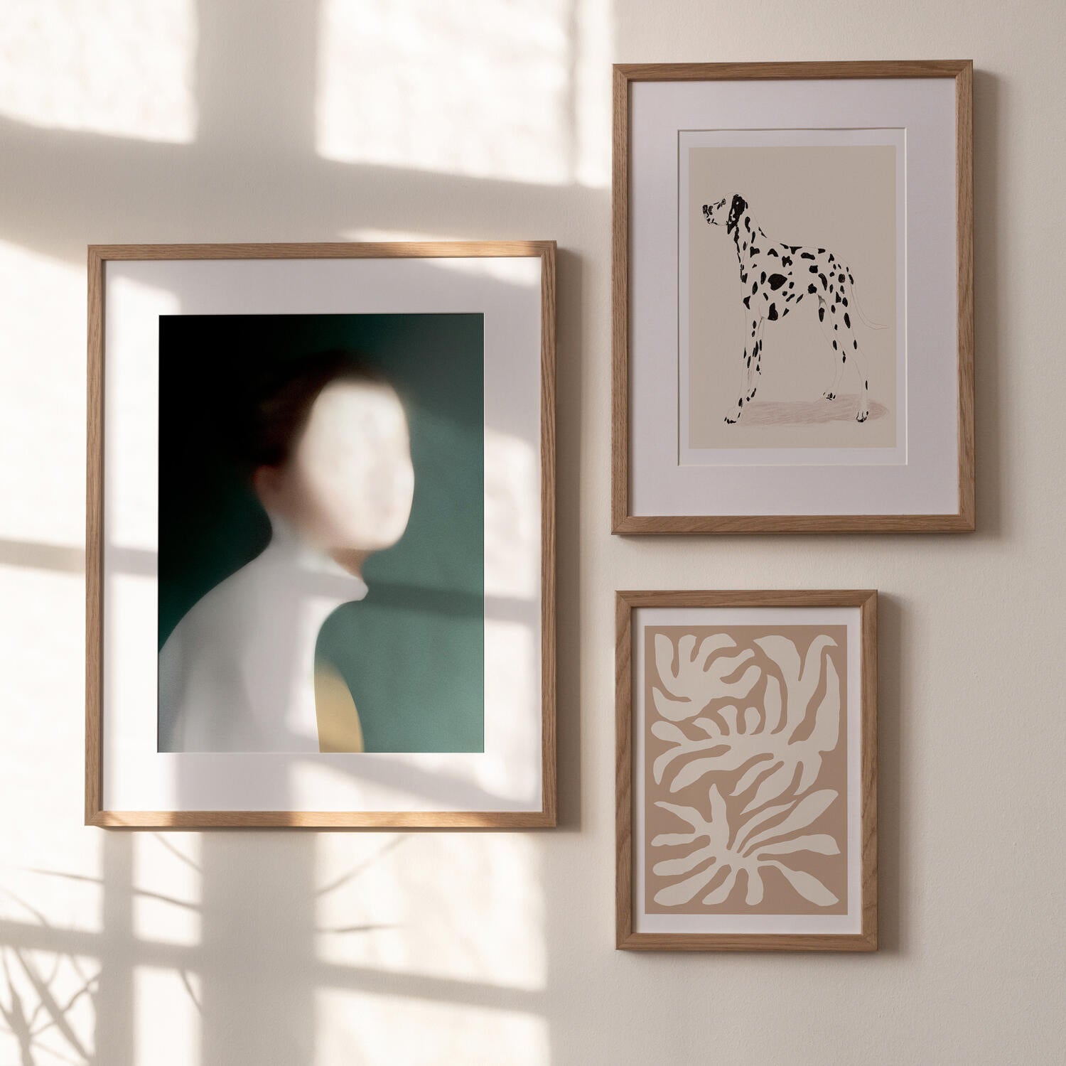 Dalmation plakat - 50 x 70 cm